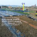 자유로농장 이미지