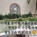 서울식물원 아기랑 주차 식당｜21개월 둥이와 온실 관람 꿀팁 총정리