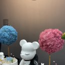 더블랙뷰티