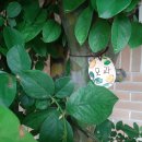 금정여고 5/21 이미지