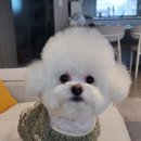 몽개구름 이미지