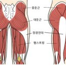 헬스보이짐 앤 필라걸 용문역점 이미지
