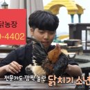 석원농장 이미지