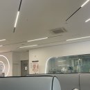 다쿠아랑 | 라식 후 안구건조증 치료 후기 | IPL레이저 실비, 눈물점플러그 내돈내산