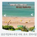 중문1천 | 제주 중문 색달해수욕장 파도 샤워 서핑 주차, 카페 클리프 방문 후기