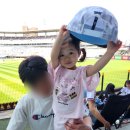 위즈동물병원 | 야구직관필수템 끈적임 없는 선크림 아이디 솔라 디펜스 데일리 클리어 365 선 에멀젼 추천