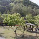 한우풍경 네이버블로그