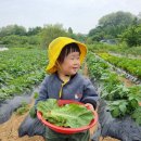 단아농장 이미지