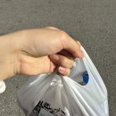 꾸브라꼬숯불두마리치킨(논현점) 네이버블로그