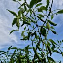 문산그린농약사 이미지