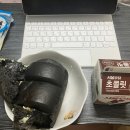 이상해씨와 춤을