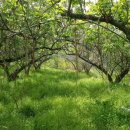 금화오리농장 이미지