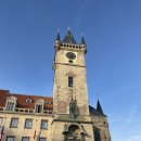 소로2-2 | 체코 프라하 시내 투어 스냅사진 포함 후기 2 (황금소로, 프라하성 전망대, 구시가 광장, 천문시계)