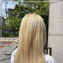 메종드헤어0403 이미지