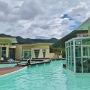 드위트리 풀빌라펜션 & 카라반가든 이미지