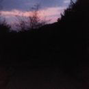 배치농장 이미지