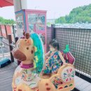 리슈채 | 안면도 2박3일 여행, 첫째날 - 21개월 아기랑 여행(방포해변, 리슈채펜션, 펜션수영장)
