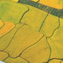 모현365공인중개사사무소 이미지