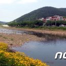 남강하천1 이미지