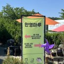 안영마루