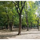 살모스231 이미지