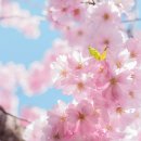 진해 인터시티호텔 이미지