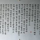 윤이상기념관 Daum카페