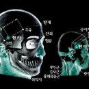 양기1 리 이미지