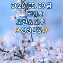 5/29 🌈 오늘의 날씨 및 코킹호 🛳 오전 &amp; 오후 정상문항 💯💯 이미지