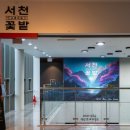 동백 숲속애견랜드 | 제주 메이즈랜드 제주도 미로공원 서천꽃밭 구좌 가볼만한곳