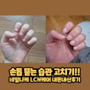 네일니케 | 손톱 물어뜯는 습관 2달만에 해결! 네일니케 LCN 정밀 케어 내돈내산 후기