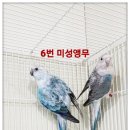 미성농장 이미지
