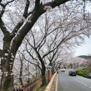 삼랑진양수발전소 | 밀양여행 삼랑진양수발전소와 안태공원 - 삼랑진벚꽃길 데이트코스#엔딩#드라이브코스#대구근교나들이