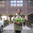 일곡초교 이미지