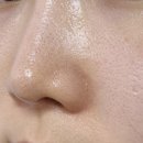 올림 피움 채움 올피채의원 이미지