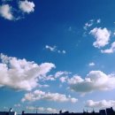 푸른별스토어 이미지