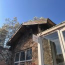 카페5번지 | [김해 봉리단길 카페] 목련꽃 아래서 즐기는 스페셜티 커피의 미학, 목련카페 '은교' 방문 후기