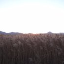 순천만여행 이미지