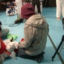 태권돌이 이미지