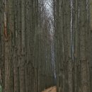 남사2리 이미지