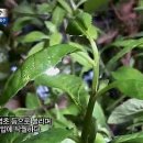 속담농장 이미지