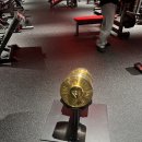 라이트 GYM 이미지