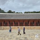 2025 해설이 있는 풍류음악회 | 종묘제례악 가을 궁중문화축전 종묘 고궁음악회 풍류에 제례악을 더하다