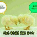 (주)아름다운 사람과 길