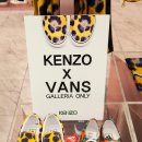 패션월드 이미지