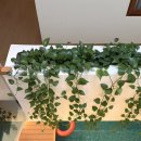 명품한강오리 | '26 Danang #3-1