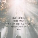 남끝천 네이버블로그
