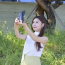 전국TOP 가요쇼 이미지