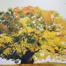 The 숲 요양원 이미지