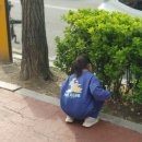 송파1동주민센터 네이버블로그